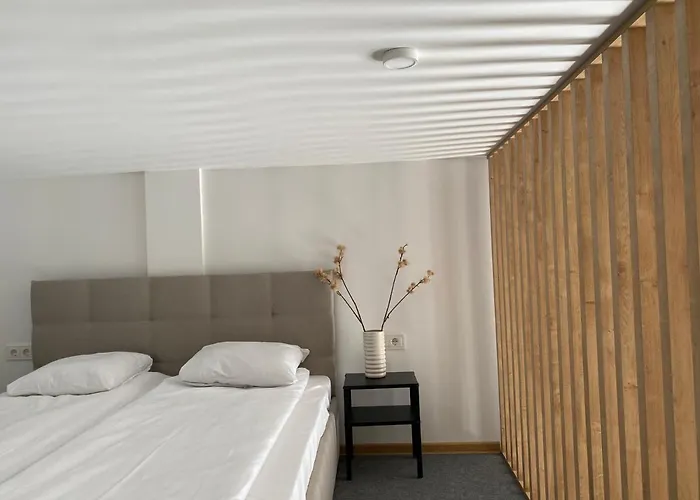 Διαμέρισμα Moulin Apartamentai Παλάγκα